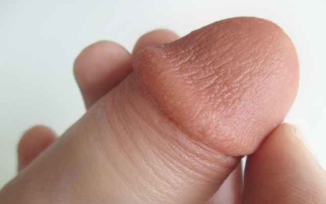 Dildo Penis Head close-up of realistic dildo penis head