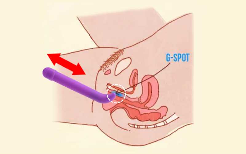 g-spot Vibrator Thursting Angle Diagram with red arrows aligned with purple g-spot vibrator thurst angle