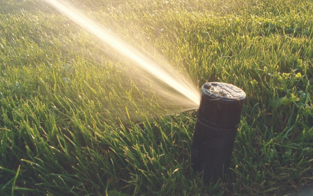 sprinkler Sprinklers resemble what squirting looks like